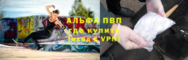 гидра Касимов