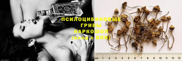 ешки Карпинск