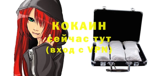 ешки Карпинск