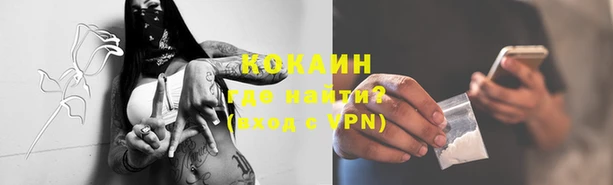 гидра Касимов