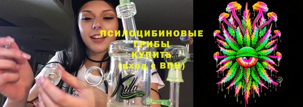 гидра Касимов
